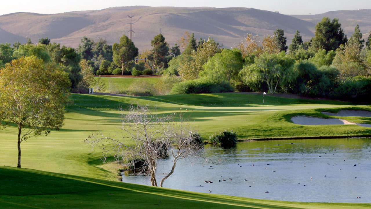 The Course Oak Creek Golf