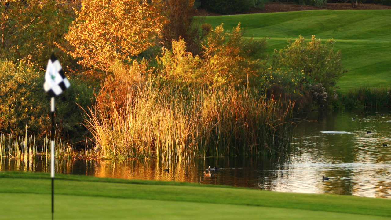 The Course Oak Creek Golf